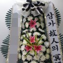 금성장례식장