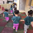 여기는 부산국립수산과학관 입니다🐠⛵️🛶 이미지