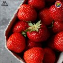 원도태권도