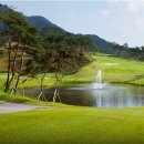 드라곤레이크CC 이미지