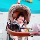 원평근린공원 놀이터 네이버블로그