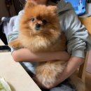 GS25 잠실잠전점 | 11월 주토피아 2번보기 /마사마드레 판콘토마테 후기/ 베르씨빌라쥬 샤쉐 내돈내산