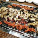 바다장어산꼼장어 이미지