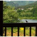 참새민박 이미지