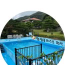 세븐일레븐인천서운산단점 | 강화 멍멍포레스트 펜션(인천 강화도 펜션/애견동반/강아지 수영장)