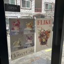 Flike(플라이크)