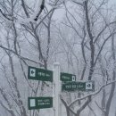 인제16-2 이미지