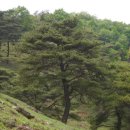 산들염소농장 네이버블로그