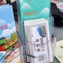 가을 경남 하동 아이와 가볼만한곳 북천 코스모스 메밀꽃 축제