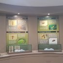 부천자연생태박물관 이미지