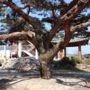 방동1리 마을회관 이미지