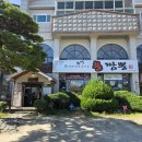 수제통닭 | 강릉 | 송정용짬뽕 만두맛집 / 번패티번 수제버거 / 계꼬닭 통닭맛집 / 구름신막걸리 후기