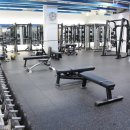 휘슬러휘트니스 이미지