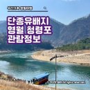 강원특별자치도 영월군 장애인문화복지센터 | [강원도/영월] 청령포 관람정보 및 단종문화제 안내(4/24~4/26)