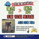 양지켄넬 이미지