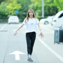 일육구