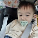 [육아] 돌 사진 후기(오후두시스튜디오)