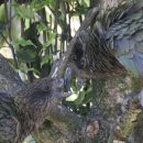 GIANT&PLAY ZONE 이미지