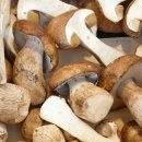 면역력 높이는데 좋은 음식 5 이미지