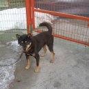 내포 검도 이미지