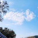 창평면사무소 | [전남 담양] 창평 슬로시티 다녀온 후기 (4/1)