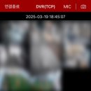 낙원유치원 | [공지] 대구 남구 애견유치원 픽업 가능한 강아지 지상낙원