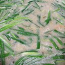 더밸리펜션민박 이미지