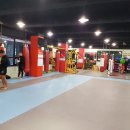 슈퍼스타짐2 티스토리