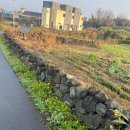 [제주] 서쪽 3박 4일여행 2일차(맛집,소품샵,협재해수욕장,성이시돌목장,금오름,자쿠지숙소)
