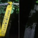 지당교 - 춘천시 | 지당교