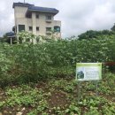 에스제이글로벌 이미지