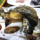 서영횟집 - 서귀포시 중정로91번길 50-1 | 서영횟집