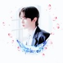 장미처럼 번진 귓불을 숨기지 않았다. (설체 님) 이미지