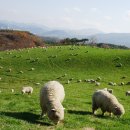 한우촌목장 이미지