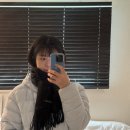 타셋 | 타셋 캐시미어 100% 머플러 착용 후기 선물로 너무 좋은듯 !