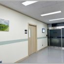 SD 메디칼 네이버블로그