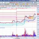 디아이인터내셔널 이미지