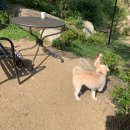 푼타하우스 이미지