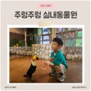 꼼지락다락방 | 주렁주렁 하남점 실내동물원 꼼꼼후기 주차 할인 예약