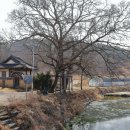 신촌리마을회관 | 의성군 - 의성 이계당, 의성 서계당, 의성 소계당