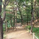 244회 일요걷기(7월21일) 비오는날 우산쓰고 정발산,일산호수공원 산책갑니다 이미지