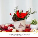 뜨레건축