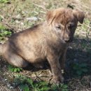 황호농장 이미지