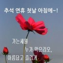행복한아침 - 안성시 서동대로 4061 | 행복한아침