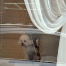 그루밍이즈 이미지