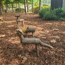 20250915 관악구서원동 난곡동일대-신림순대타운-도림천-보라매공원정원박람회 이미지