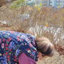 클레이교실 이미지