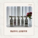 상쾌한운동화이불빨래처인점 | 뽀숑하우스 섬유탈취제 추천｜여름철 땀 냄새 쉰내 제거에 사용해 본 4가지 향 후기