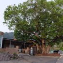 별과달민박 이미지