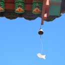 너에게반하다 - 파주시 | 너에게반하다